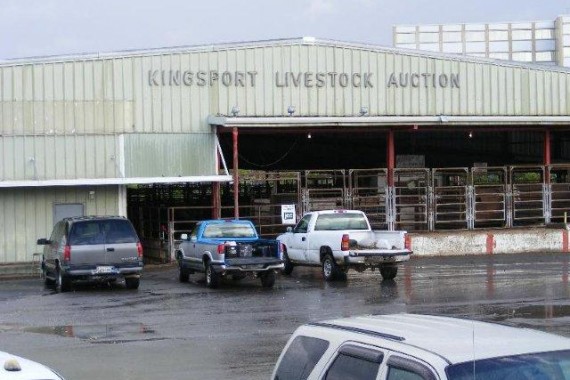 tri state livestock auction market