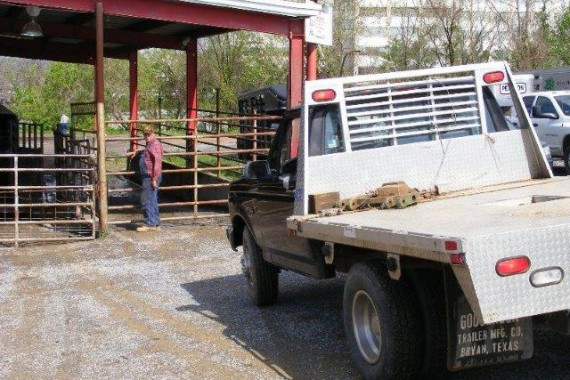 virginia cattle livestock auction markets